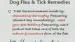 How do I deal with fleas? How to Deal with Fleas and Ticks