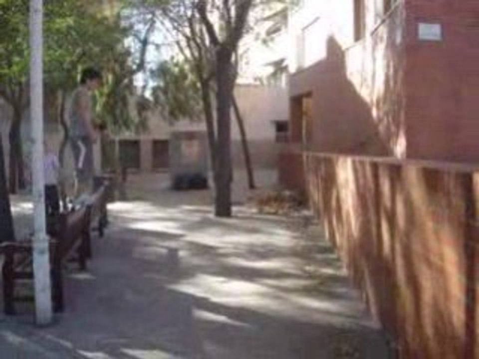 TOMAS FALSAS I RISAS