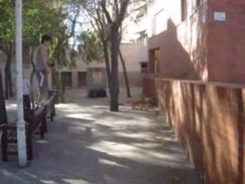 TOMAS FALSAS I RISAS