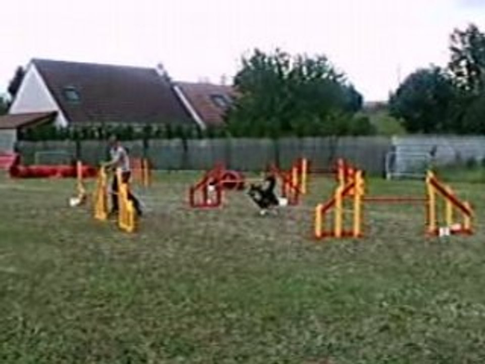 Maintenon andy jumping