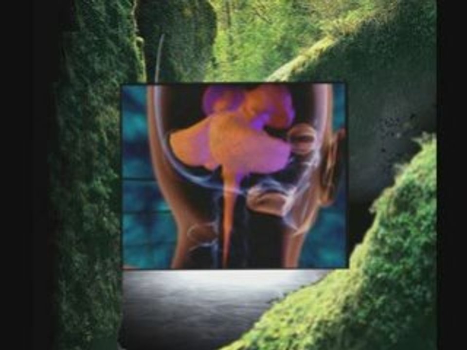 La Vérité Fondamentale Révélée Par L'hypnose