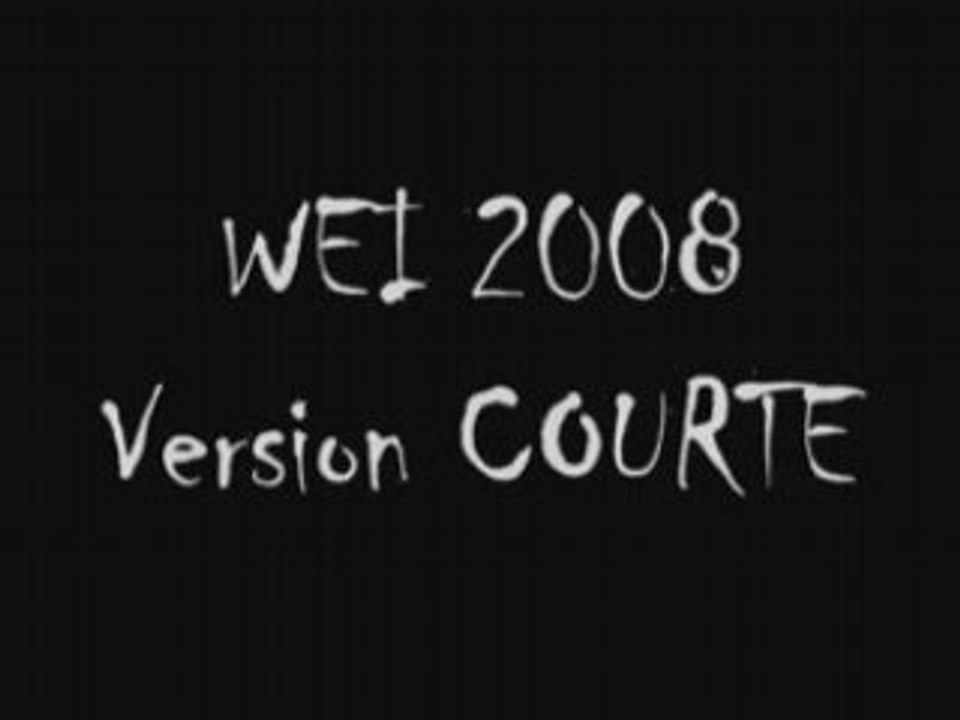 WEI Telecom Paristech 2008