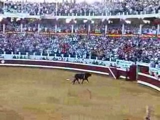 Indulto desgarbado toros y salsa dax 2008