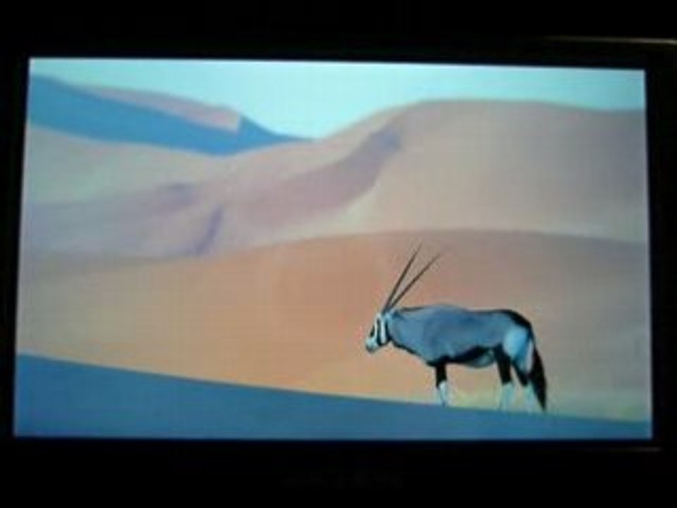 Scintillement Archos 5 après plantage sur Dvr Station