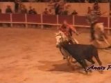 Arlatenco, saut cheval à taureau