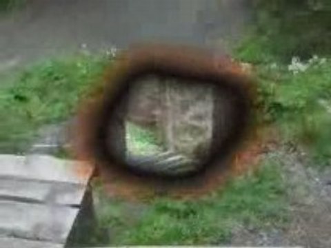 Leogang Downhill Freeride 2006