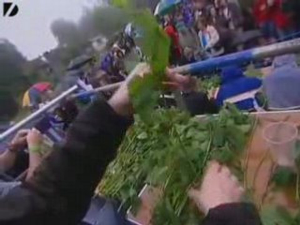 Nettle Eating  Championship