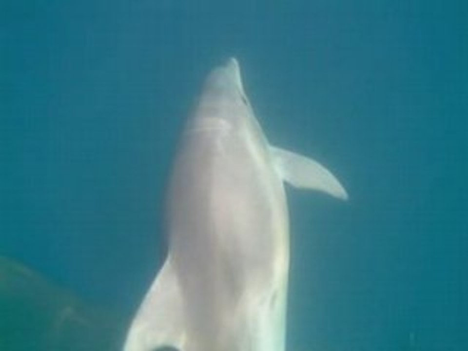 EPIRUS 1  greece hellas