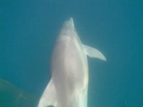 EPIRUS 1 greece hellas