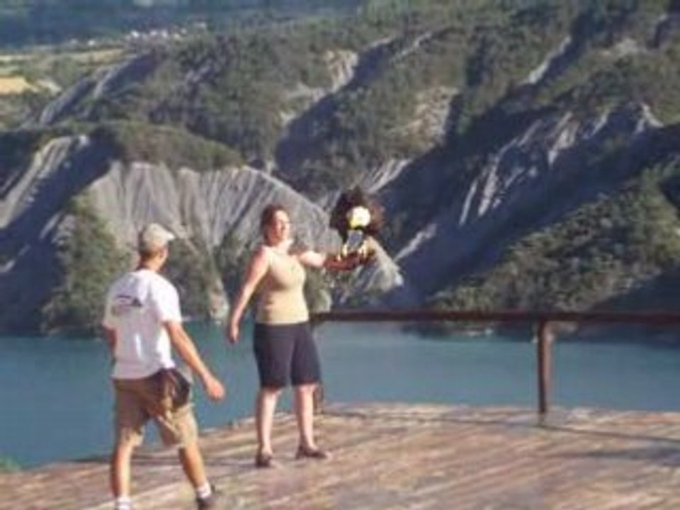 reception de l'aigle