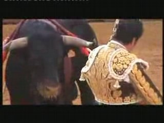 Dax 2008  El Fundi grand maestro