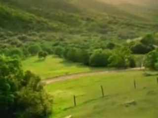 promenade a la campagne [OwWwO]