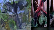 Dinosaurs Are Birds