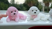 Bouncy Puppy Car Dashboard Decoration | Adorable Car Accessory