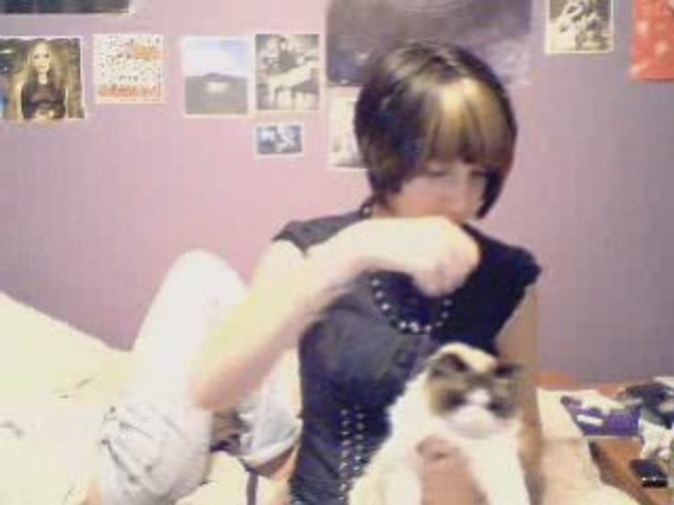 Crazy Cat!