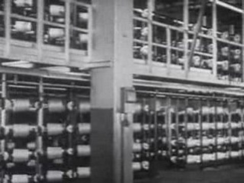 Rubber Tree Plant and Manufacturing of Various Products