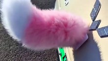 Wagging Electric Tail for E-Bikes & Scooters | Rechargeable Fun Mod