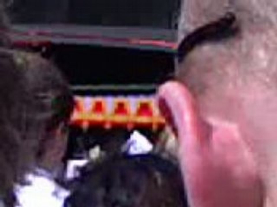 Mcfly @ London 2012 Party 24.08.08 - Lies