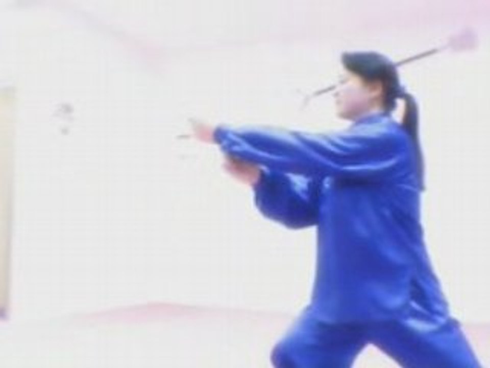 Tai Chi Fang Xiao Fen Fushan Kwoon