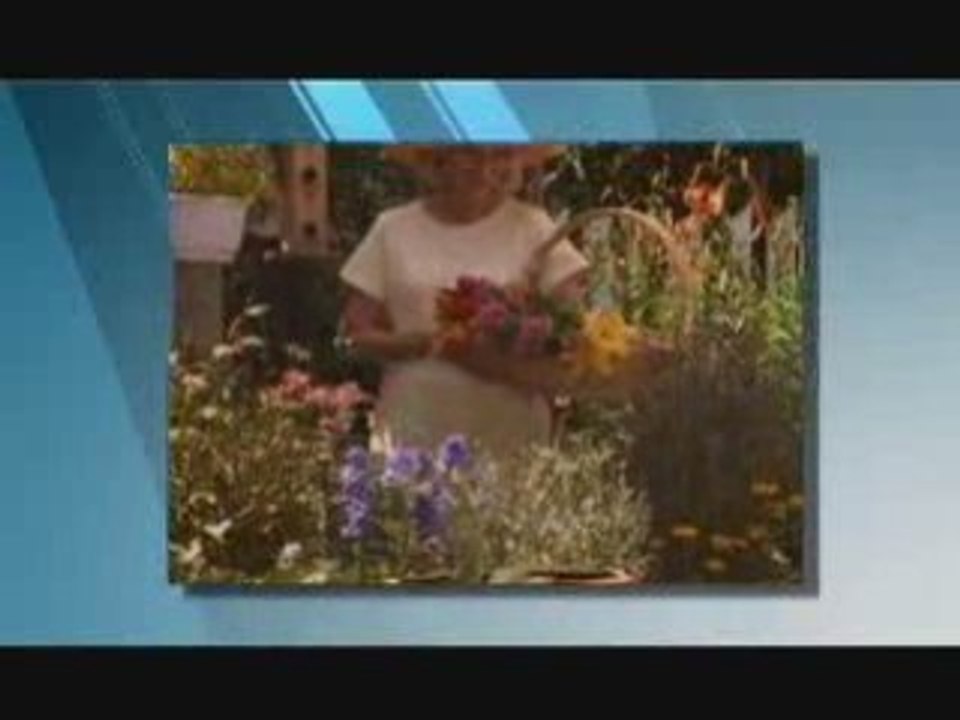 Seniors Exercise Videos - Elderly Fitness Series