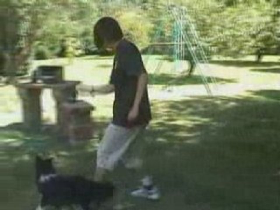 Obérythmée de bouba & dream