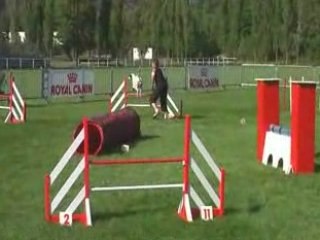 Mezel 2008 jumping monté