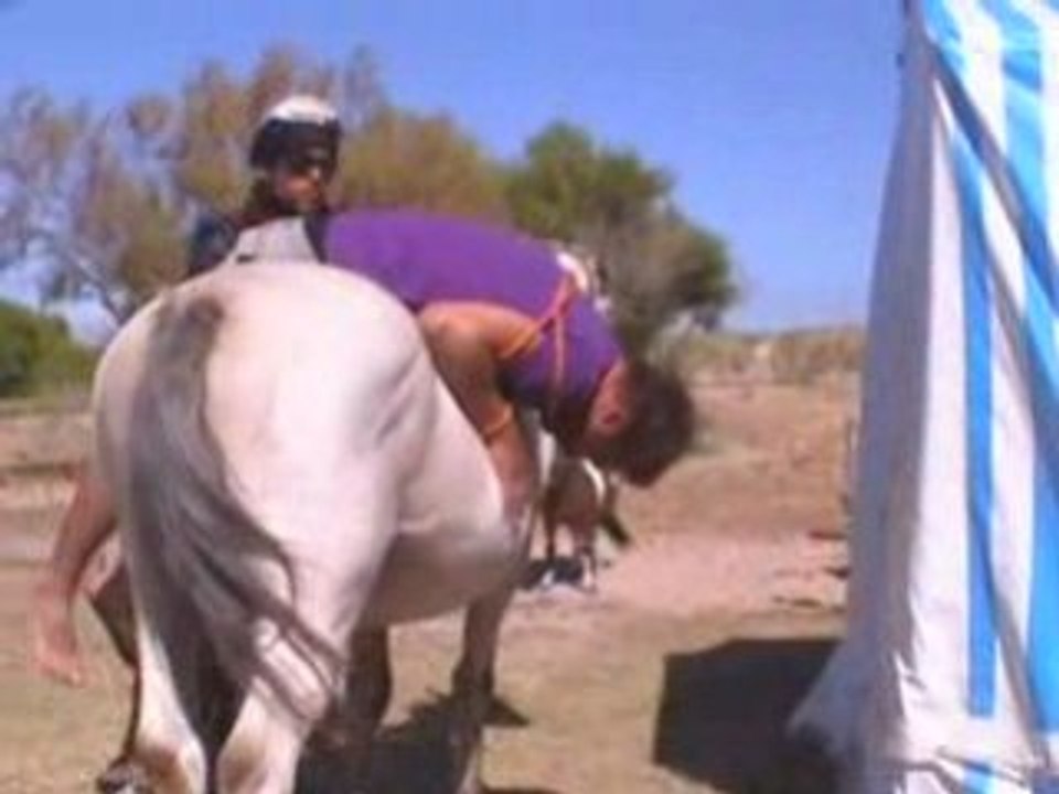 LE NOUVEL AN LEVE MENT