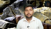 एटा में चच्चा मुरारी को कोबरा ने काटा! 60 वर्षीय बुजुर्ग से जुड़ा हैरान करने वाला मामला 😱 | AS BLOG1 #679 एटा, उत्तर प्रदेश से जुड़ी एक हैरान करने वाली घटना! 🐍  60 वर्षीय चच्चा मुरारी और कोबरा सांप से जुड़ी इस घटना ने लोगों का ध्यान खींचा है। आखिर पूरा