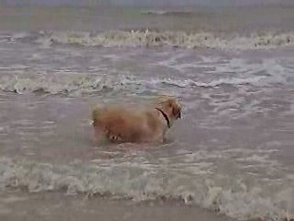 Loola à la mer