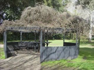 Adelaide Botanic Garden_3