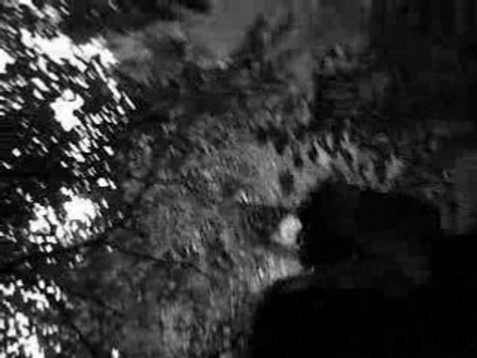 MOV06231