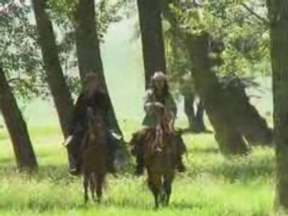 Caravane 2008