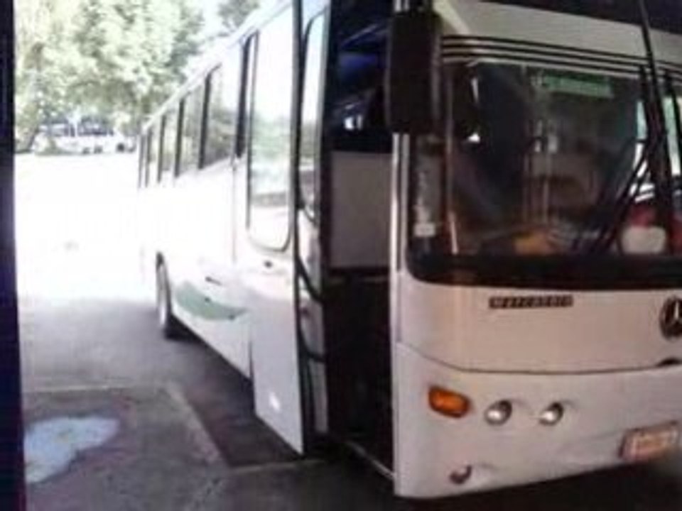 Bus