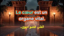 Partie 18 apprendre Les parties du corps humain XIII
