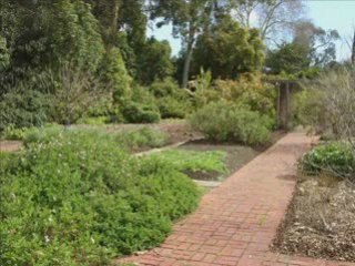 Adelaide Botanic Garden_4