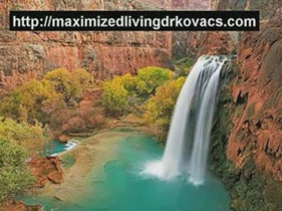 Chiropractors in Midtown