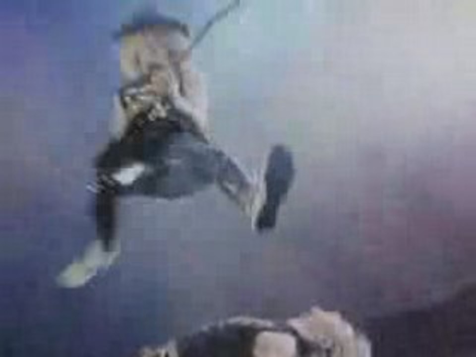 Poison - Your Mama Don't Dance