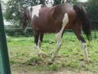 Aout22 2008 indianna 1er cours longé partie 2