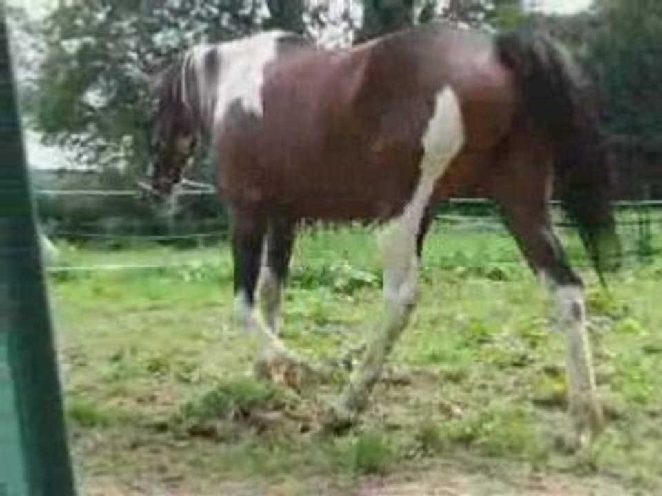 Aout22 2008 indianna 1er cours longé partie 2