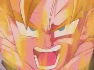 extrait de mon prochain amv  (budokai 3)