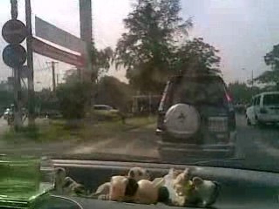 Je condui au vietnam