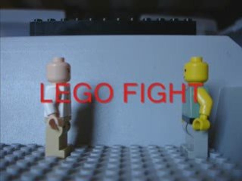 LEGO FIGHT