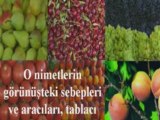 Ramazan Ayı ve Orucun Hikmetleri-1