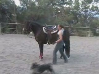 Destino ydm  3 ans et 3 mois Descendre par la croupe