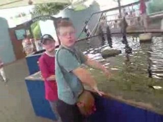 Sortie au Grand Aquarium de Saint Malo