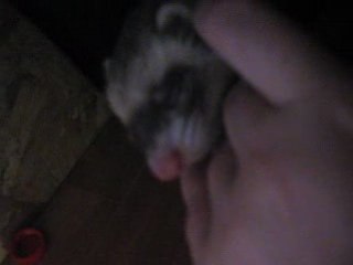 Candice imperturbable pendant le dodo