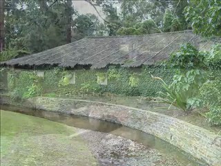 Adelaide Botanic Garden_5