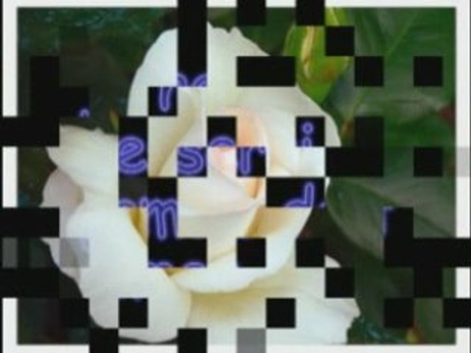 Alexia mon ange partit bien trop tôt