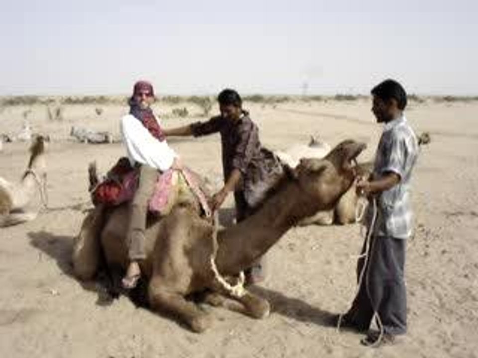 Martin and the mad camel