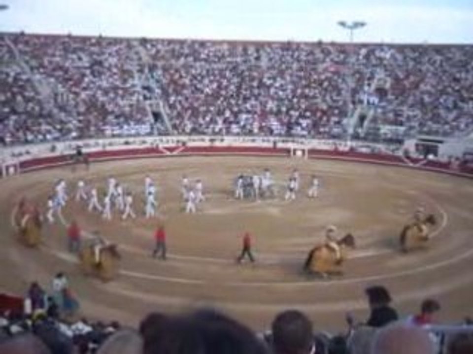 Féria de Béziers 2008 - Corrida 17 Août 2008